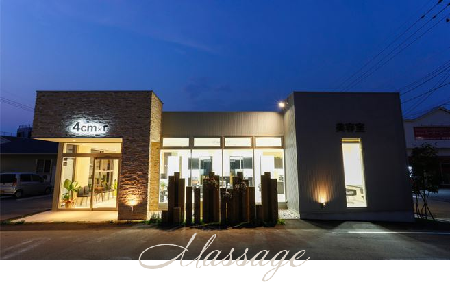 THE Organic(ザ・オーガニック)シャンプー・トリートメント