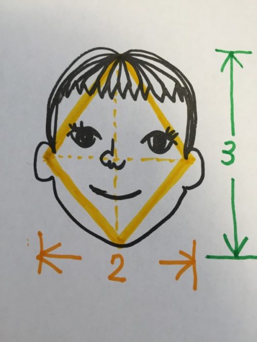 似合う髪型がわからない人は自分の顔のカタチを知りましょう 髪型診断方法 石川県 金沢市 片町 タテマチ 諸江 野々市 横川 美容室 美容院 4cm ヨンセンチメートル