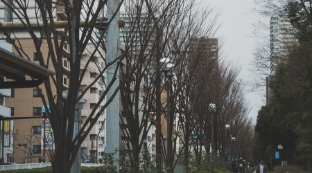 machi160224120i9a0755_tp_v