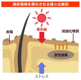puffer-2